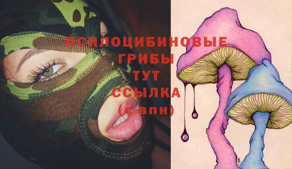 ГАЛЛЮЦИНОГЕННЫЕ ГРИБЫ Алзамай