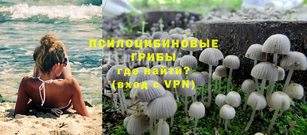 ГАЛЛЮЦИНОГЕННЫЕ ГРИБЫ Алзамай
