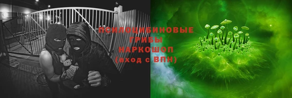 ГАЛЛЮЦИНОГЕННЫЕ ГРИБЫ Алексин