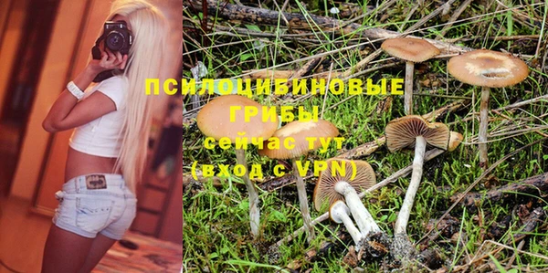 ГАЛЛЮЦИНОГЕННЫЕ ГРИБЫ Алексин