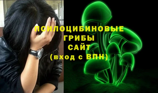 МДПВ Алексеевка