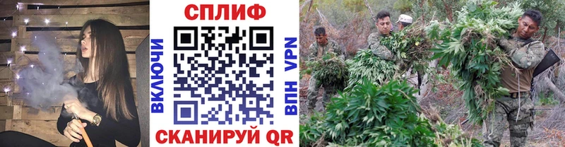 Бошки Шишки планчик  купить  цена  Ясный 